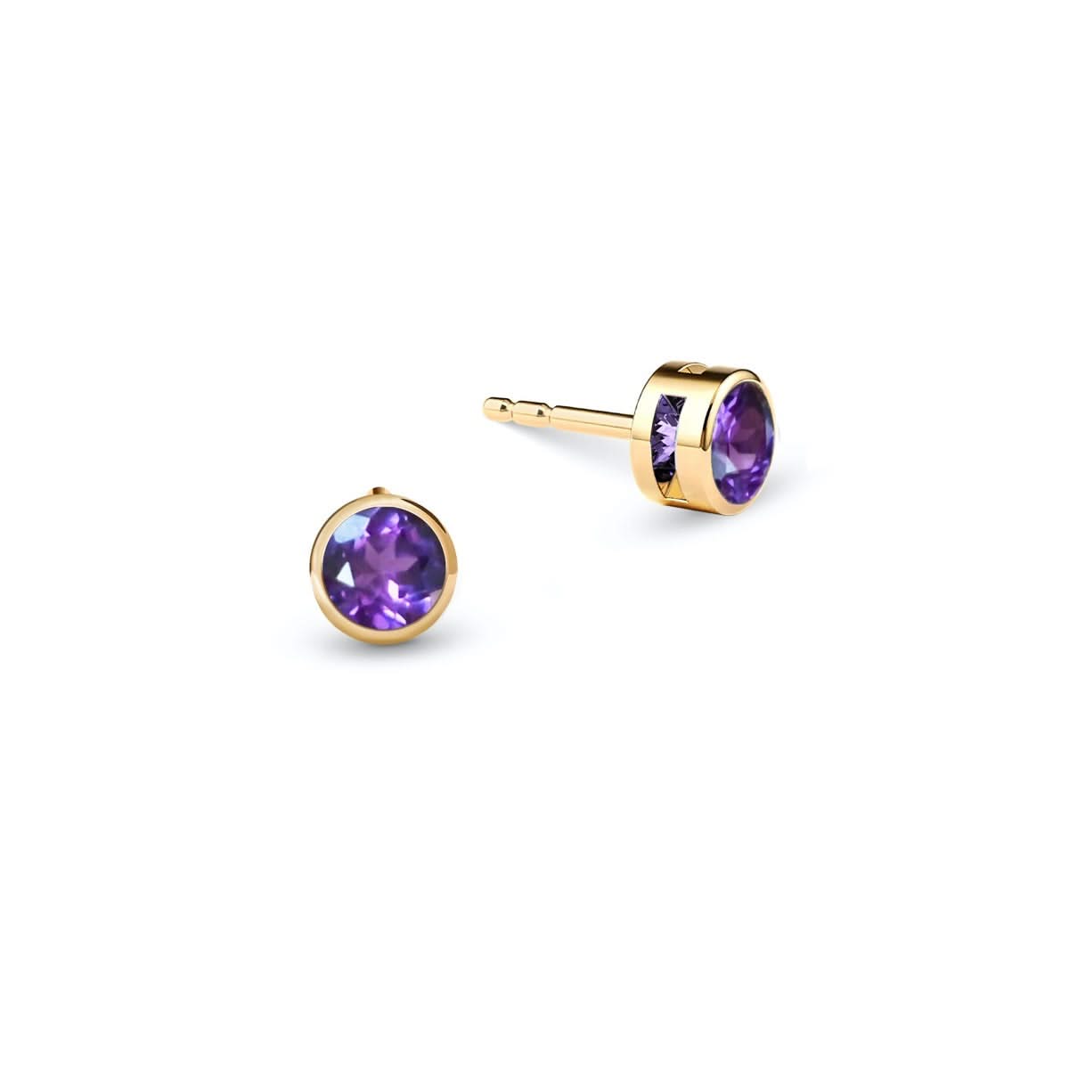 Barrington Amethyst Stud Earrings in 14k Gold (February)