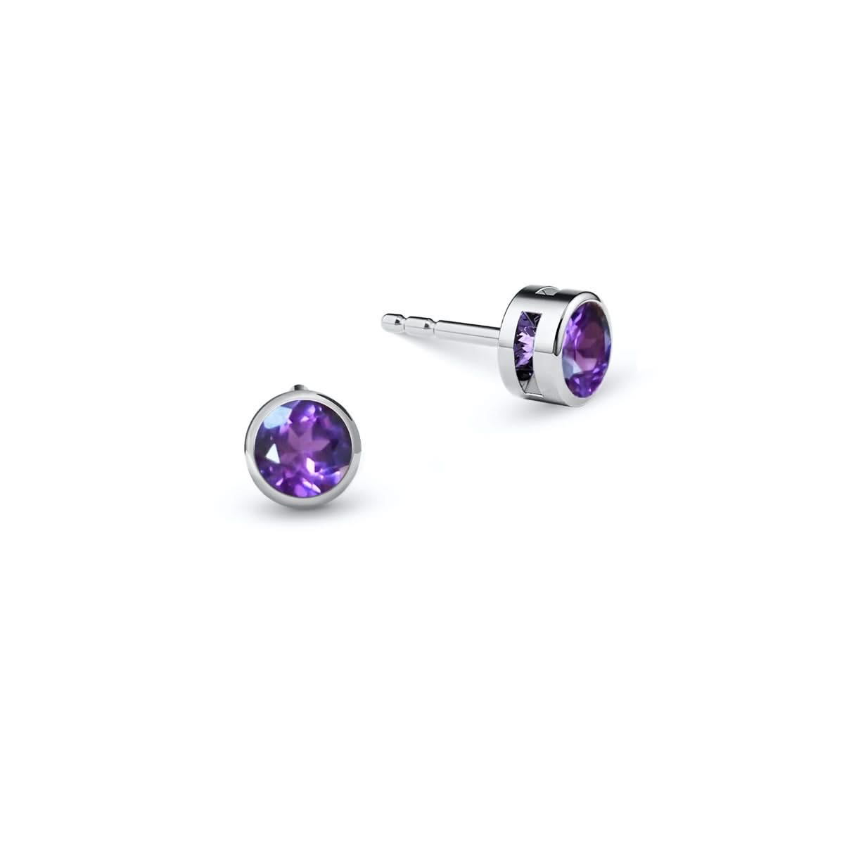 Barrington Amethyst Stud Earrings in 14k Gold (February)