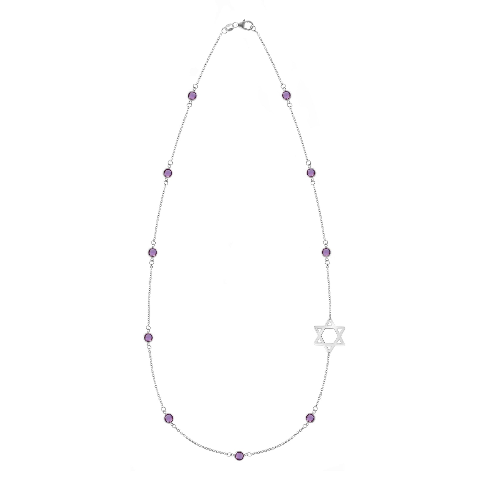Bayberry Amethyst Star of David Necklace in 14k Gold (February)
