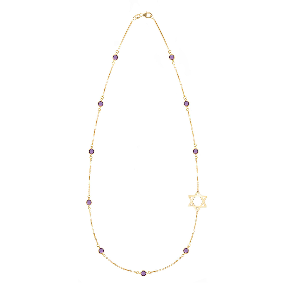 Bayberry Amethyst Star of David Necklace in 14k Gold (February)
