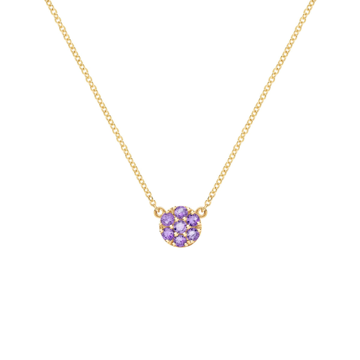 Rosecliff Amethyst Mini Necklace in Solid 14k Gold (February)