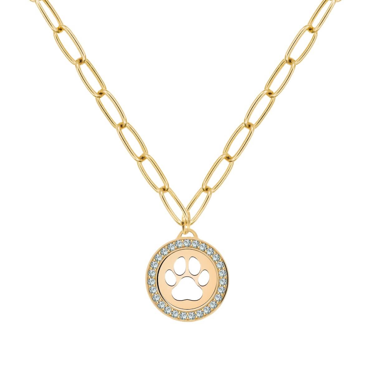 Paw & Alexandrite Pendant in 14k Gold (June)