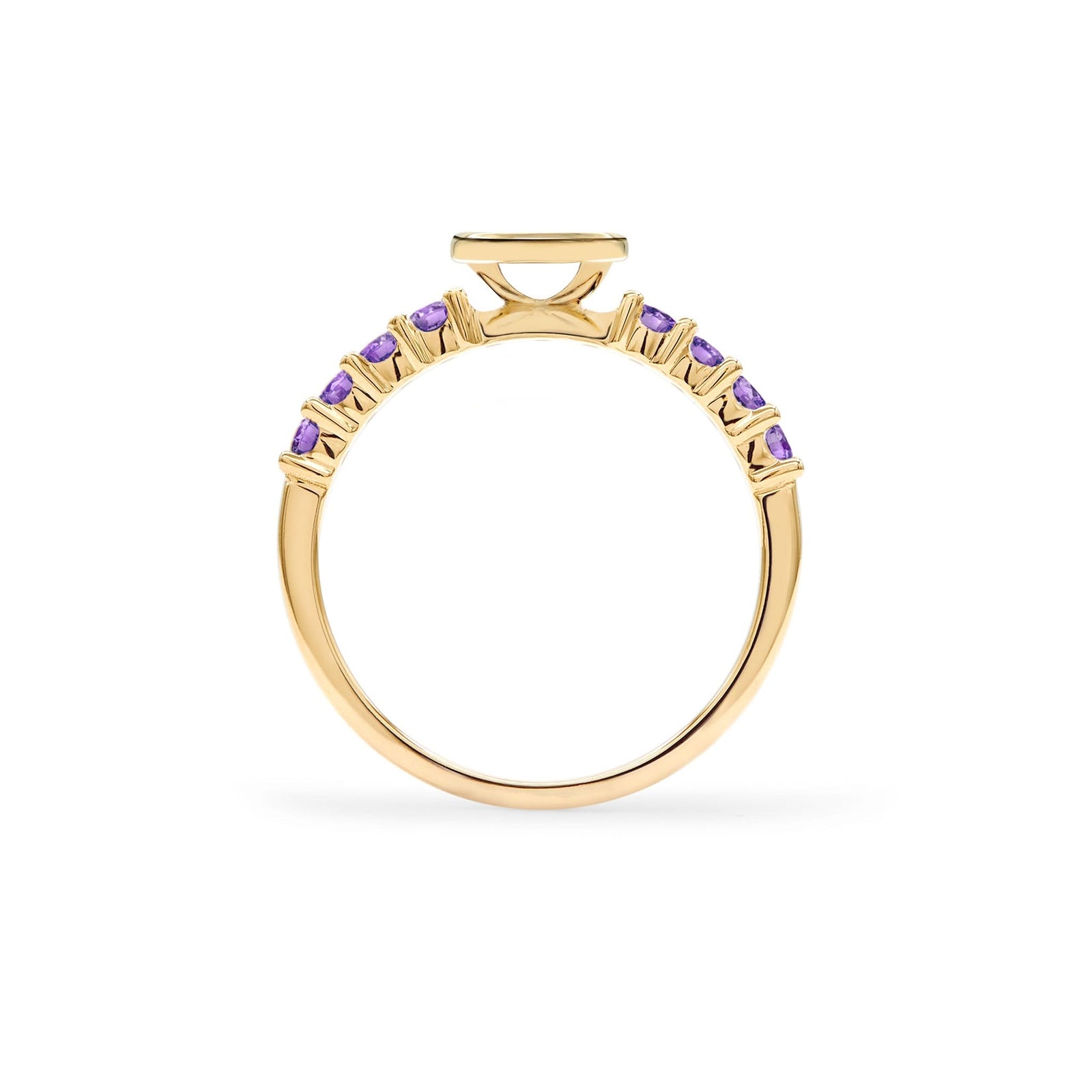 The 14k gold Rosecliff Letter Amethyst Ring, the birthstone for February, showcasing the 2 mm faceted round cut, prong set Amethysts - standing view
