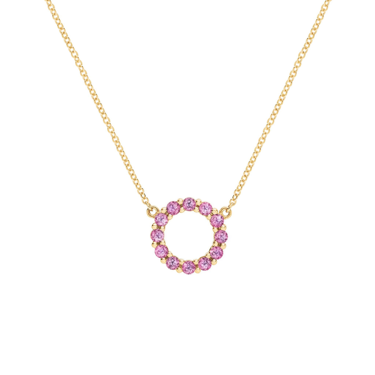 Rosecliff small open circle necklace featuring twelve 2mm round cut pink sapphires prong set in 14k gold - front view