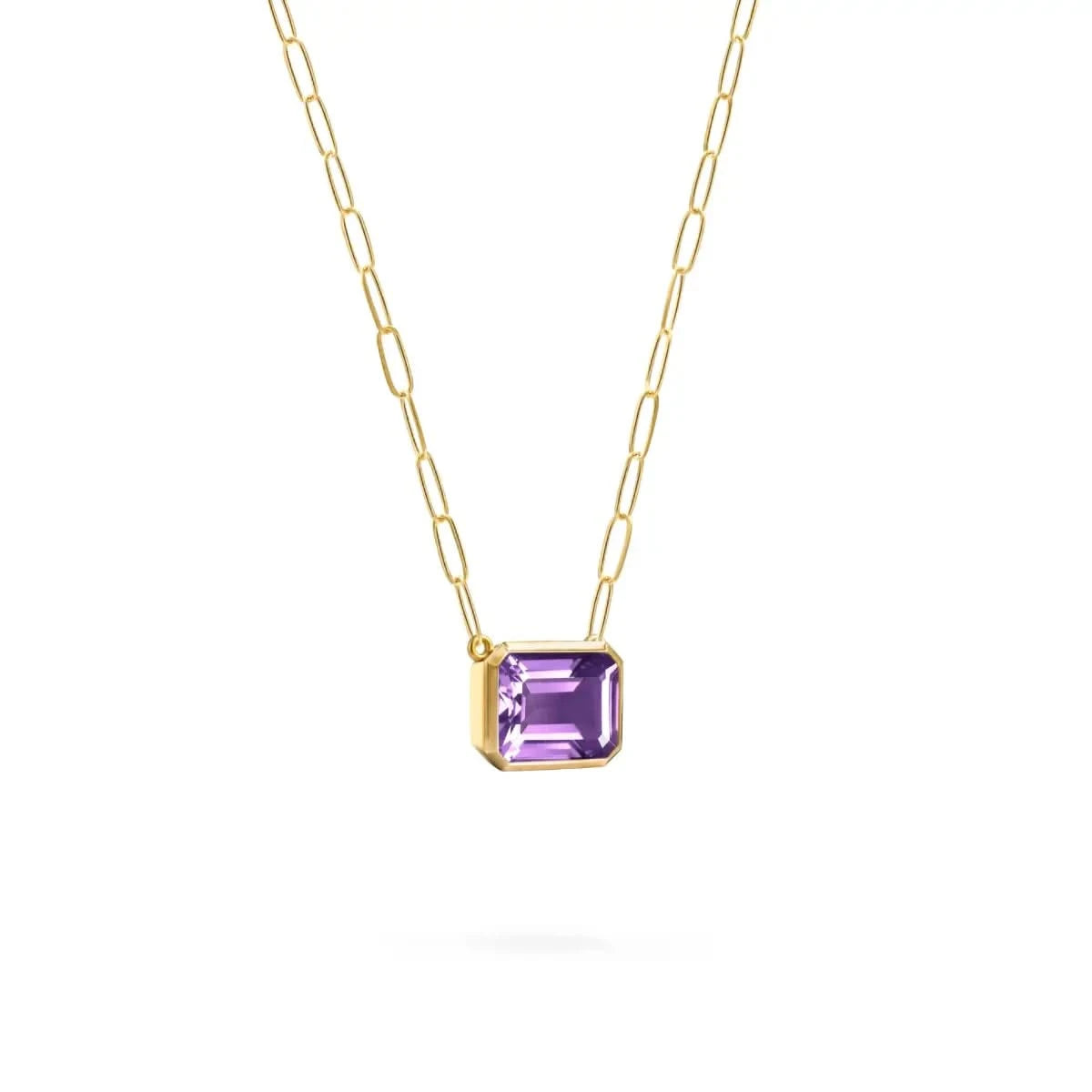 Warren Amethyst Necklace on Adelaide Mini Chain in 14k Gold (February)