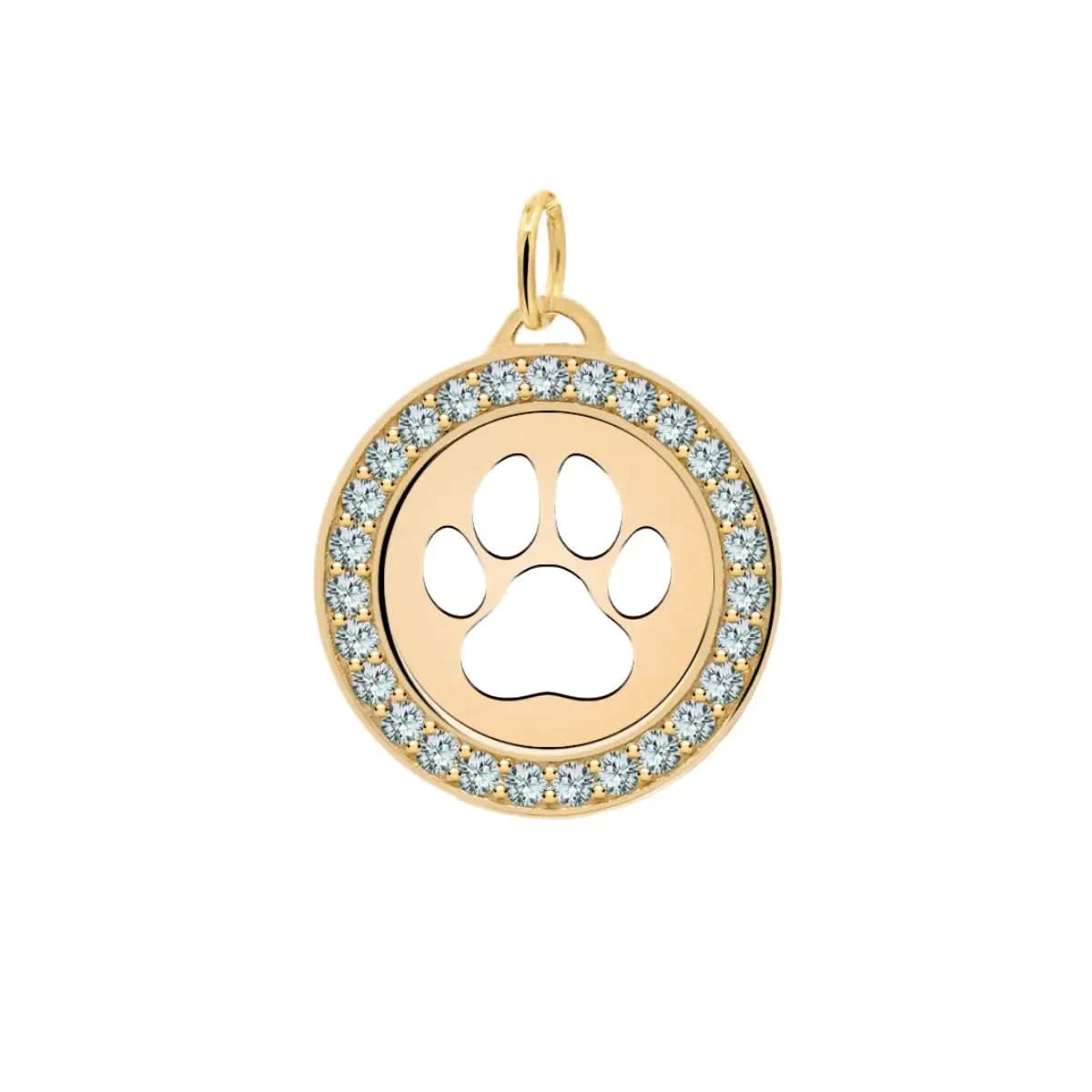 Paw & Alexandrite Pendant in 14k Gold (June)