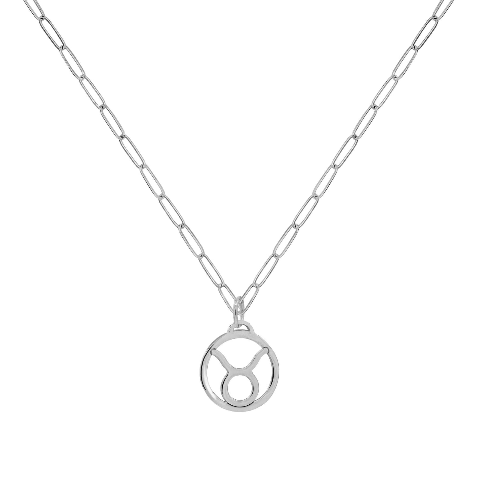 Flat Taurus Pendant with Adelaide Mini Chain in 14k Gold