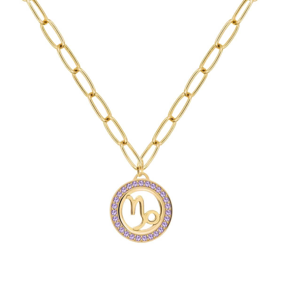 Capricorn & Birthstone Pendant in 14k Gold