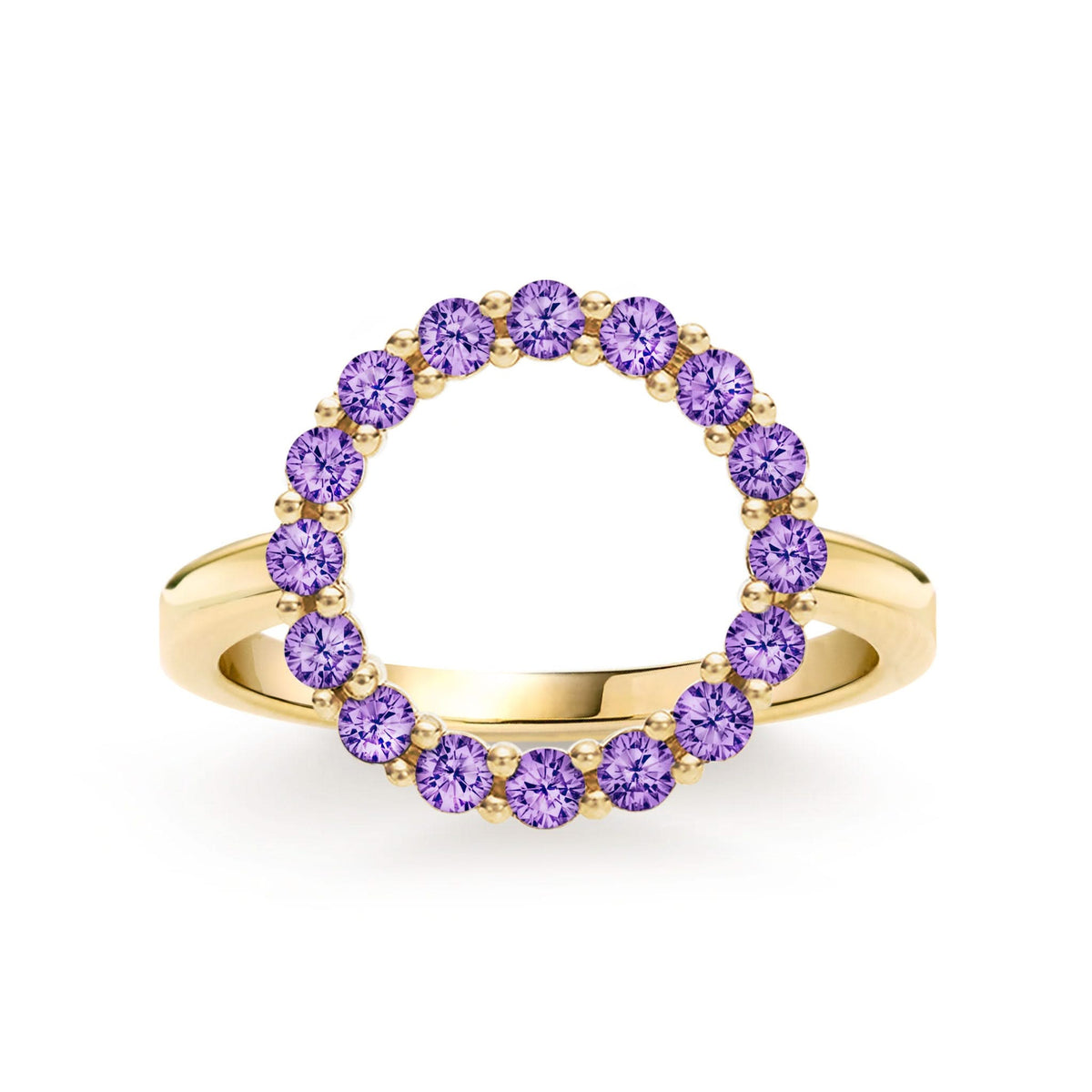 Rosecliff open circle ring featuring sixteen 2 mm faceted round cut amethysts prong set in 14k yellow gold - front view