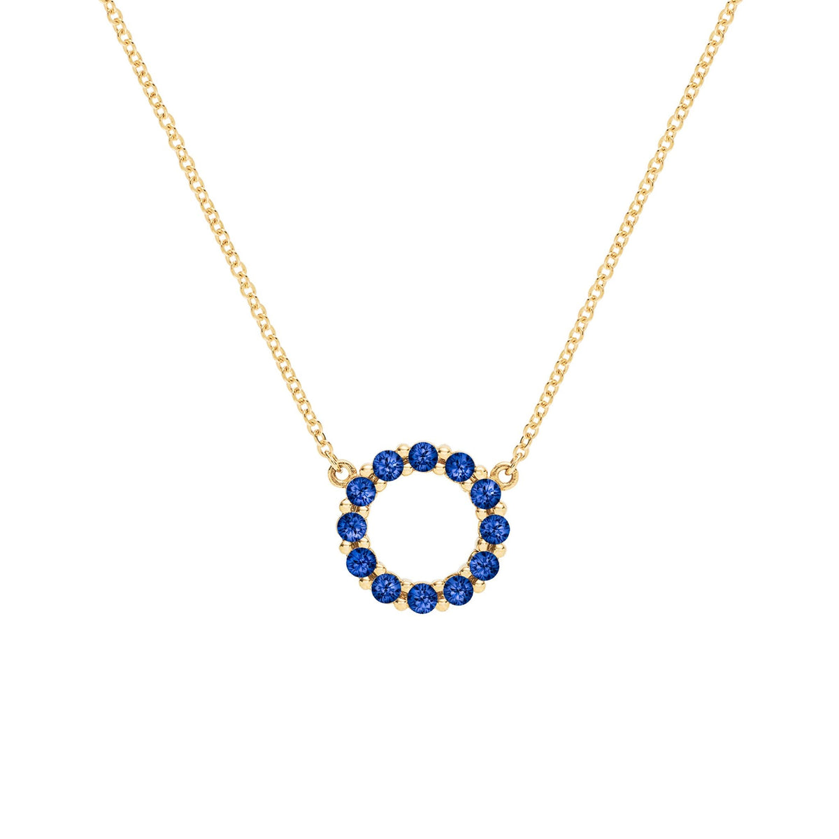 Rosecliff small open circle necklace featuring twelve 2 mm faceted round cut sapphires prong set in 14k gold - front view
