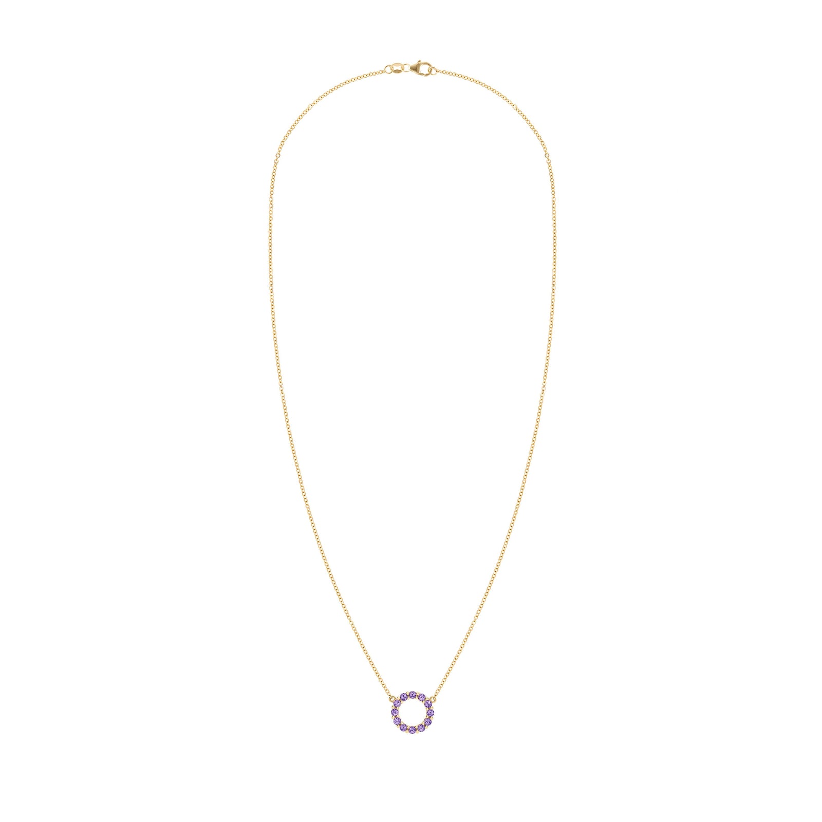 Rosecliff small circle necklace featuring twelve 2mm faceted round cut amethysts prong set in 14k yellow gold