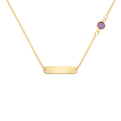 1 Nameplate & 1 Petite Amethyst Necklace in 14k Gold (February)