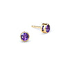 Barrington Amethyst Stud Earrings in 14k Gold (February)