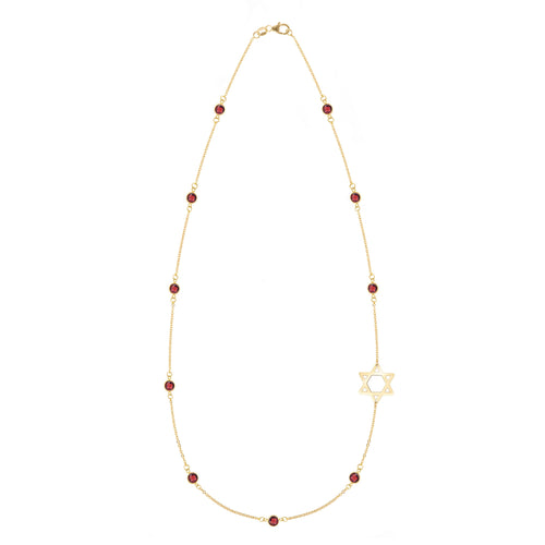 Bayberry Garnet Star of David Necklace in 14k Gold (January)