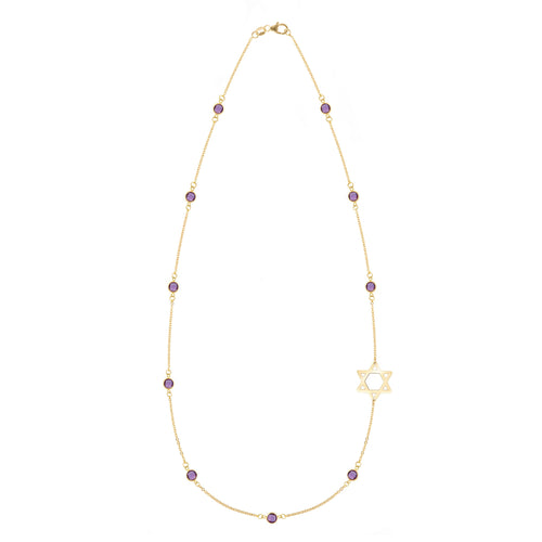 Bayberry Amethyst Star of David Necklace in 14k Gold (February)