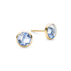 Grand Aquamarine Stud Earrings in 14k Gold (March)