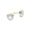 Grand Moonstone Stud Earrings in 14k Gold (June)