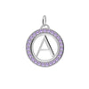 Letter & Amethyst Pendant in 14k Gold (February)