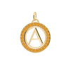 Letter & Citrine Pendant in 14k Gold (November)