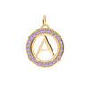 Letter & Amethyst Pendant in 14k Gold (February)