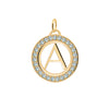 Letter & Alexandrite Pendant in 14k Gold (June)