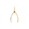 Large Ruby Wishbone Pendant in Solid 14k Gold (July)