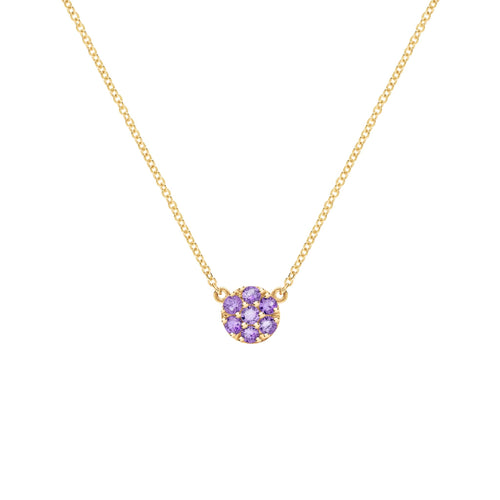 Rosecliff Amethyst Mini Necklace in Solid 14k Gold (February)