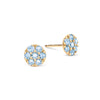 Rosecliff Nantucket Blue Topaz Mini Stud Earrings in Solid 14k Gold (December)