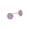 Rosecliff Amethyst Mini Stud Earrings in Solid 14k Gold (February)