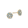 Rosecliff Alexandrite Mini Stud Earrings in Solid 14k Gold (June)