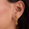 Rosecliff Citrine Drop Earrings in 14k Gold (November)