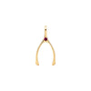 Small Ruby Wishbone Pendant in Solid 14k Gold (July)