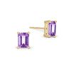 Warren Amethyst Stud Earrings in 14k Gold (February)
