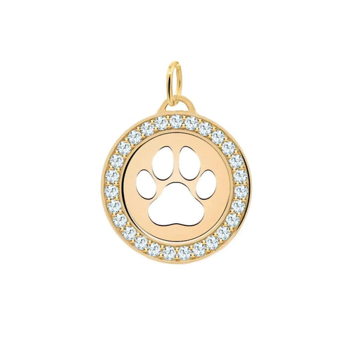 Paw & Aquamarine Pendant in 14k Gold (March)
