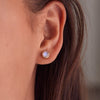 Grand Moonstone Stud Earrings in 14k Gold (June)