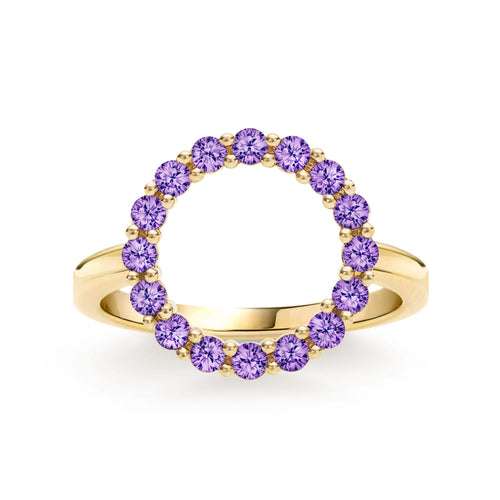 Rosecliff open circle ring featuring sixteen 2 mm faceted round cut amethysts prong set in 14k yellow gold - front view