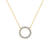 Rosecliff open circle necklace with sixteen 2 mm faceted round cut alexandrites prong set in 14k yellow gold - front view