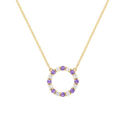 Rosecliff Circle Diamond & Amethyst Necklace in 14k Gold (February)