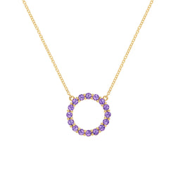 Rosecliff Circle Amethyst Necklace in 14k Gold (February)