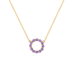 Rosecliff Small Circle Amethyst Necklace in 14k Gold (February)