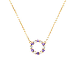 Rosecliff Small Circle Diamond & Amethyst Necklace in 14k Gold (February)