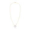Rosecliff open circle necklace with sixteen alternating 2 mm round cut amethysts & diamonds prong set in 14k yellow gold