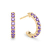 Rosecliff huggie earrings in 14k yellow gold featuring nine 2mm faceted round cut prong set amethysts - front view