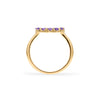 Rosecliff small open circle ring featuring twelve 2 mm faceted round cut amethysts prong set in 14k gold - standing view