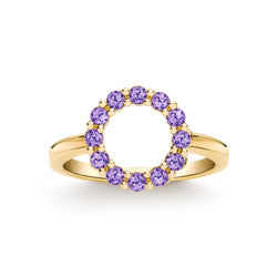 Rosecliff Small Circle Amethyst Ring in 14k Gold (February)