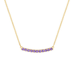 Rosecliff Amethyst Bar Necklace in 14k Gold (February)